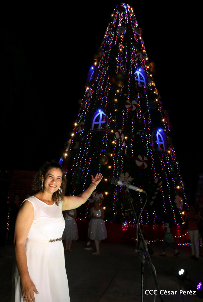 arbol1
